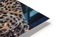 lure due HD Metal print