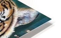 mind with sight HD Metal print