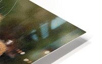 read in fuss HD Metal print