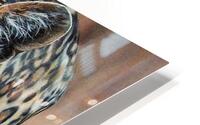 Not jovial HD Metal print