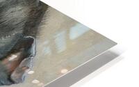 littel steps off HD Metal print