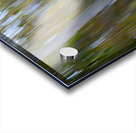 Birch Trees Autumn Acrylic print