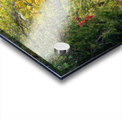 Canadian Goose Autumn Pond Reflections Acrylic print