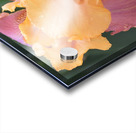 Adobe Rose Bearded Iris Acrylic print