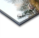 Fresh Snow and Pond Reflections Acrylic print