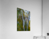 Birch Trees Autumn Acrylic Print