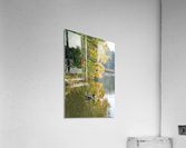 Canadian Goose Autumn Pond Reflections Acrylic Print