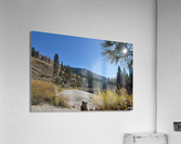 Sandy Banks Beach Payette River Idaho Acrylic Print