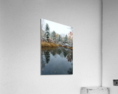 Fresh Snow and Pond Reflections Acrylic Print