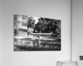 Shady Pasture Acrylic Print