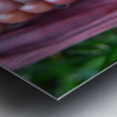 Jewel Corn 2 Metal print