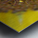 Sunflower Stars Metal print