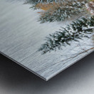 Fresh Snow and Pond Reflections Metal print