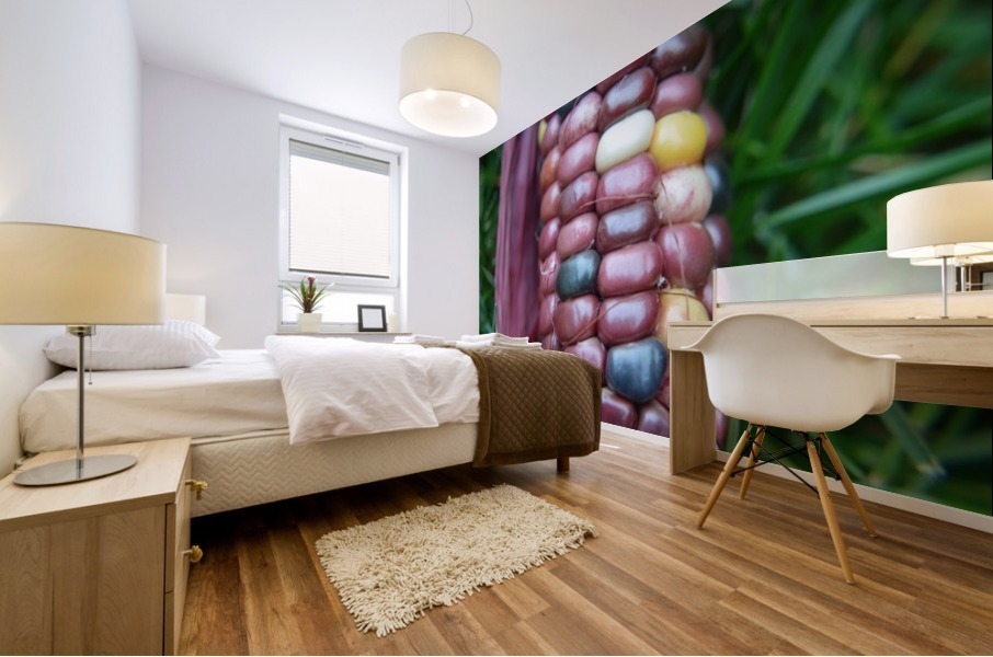 Jewel Corn 2 Mural print