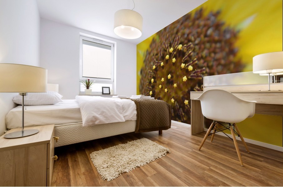 Sunflower Stars Mural print