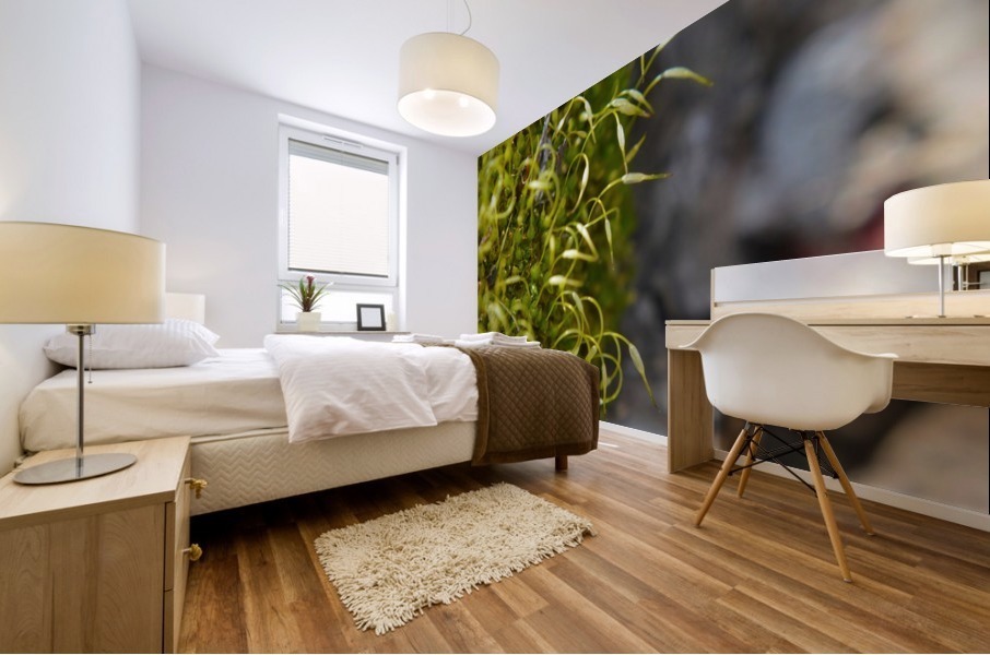 Green Moss Mural print