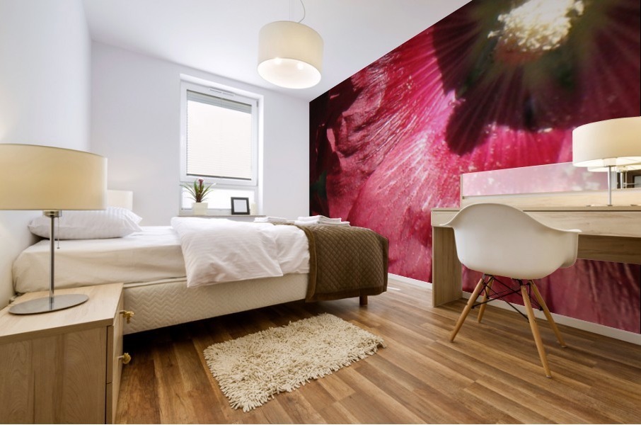 Red Hollyhock Mural print