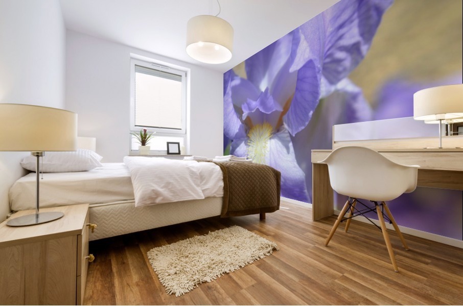 Light Purple Bearded Iris Mural print