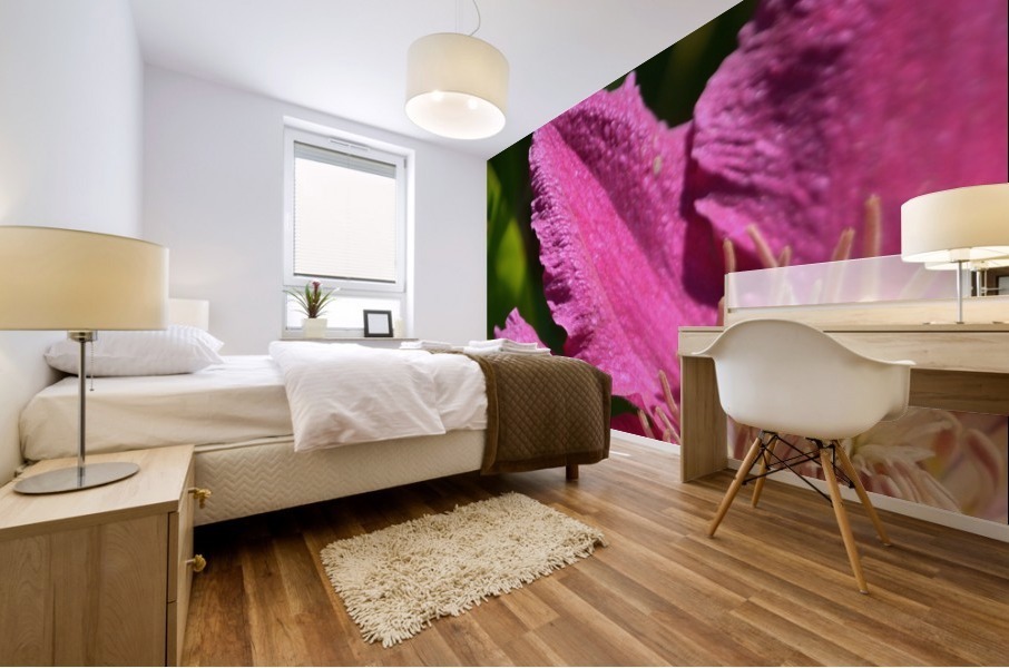 Clematis Comtesse de Bouchaud Mural print