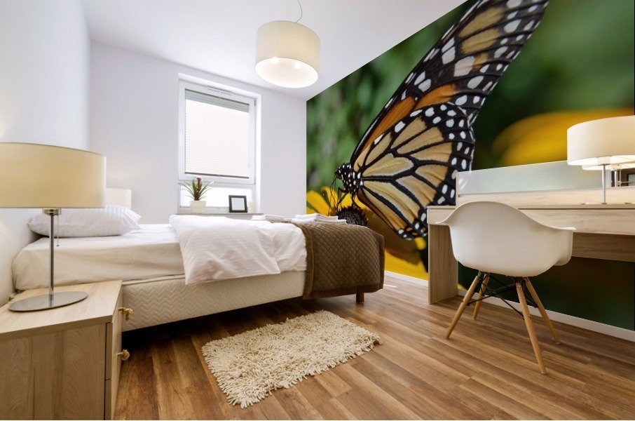 Monarch Butterfly Mural print