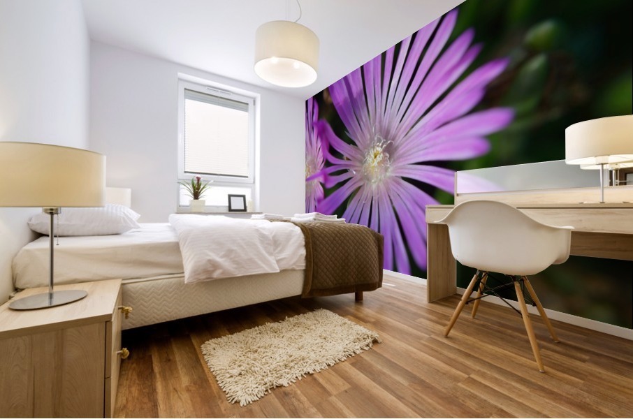 Ice Plant macro Mural print