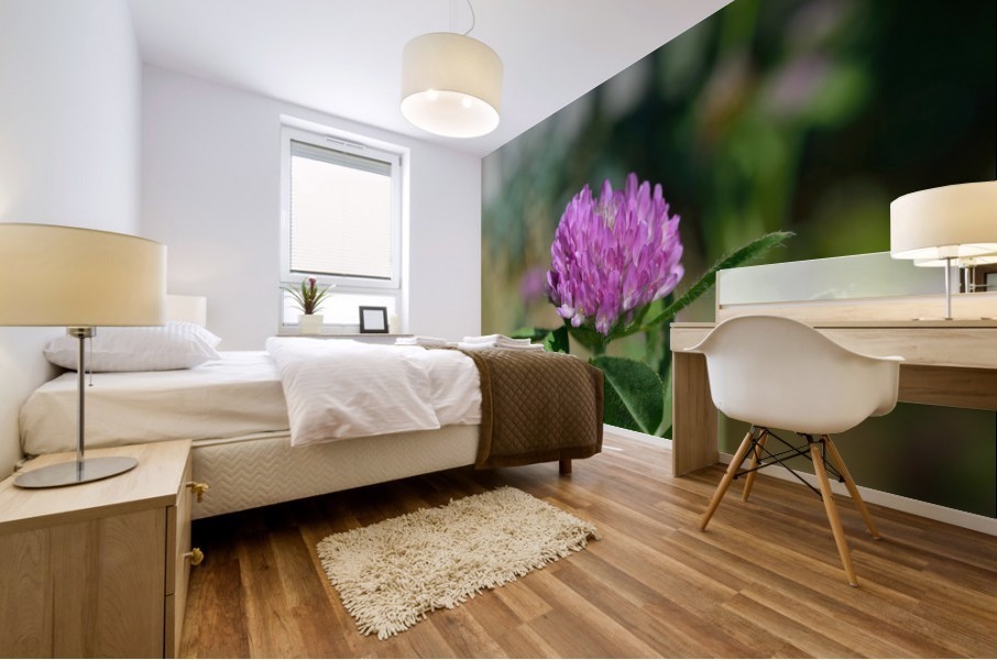 Red Clover Flower Macro Mural print