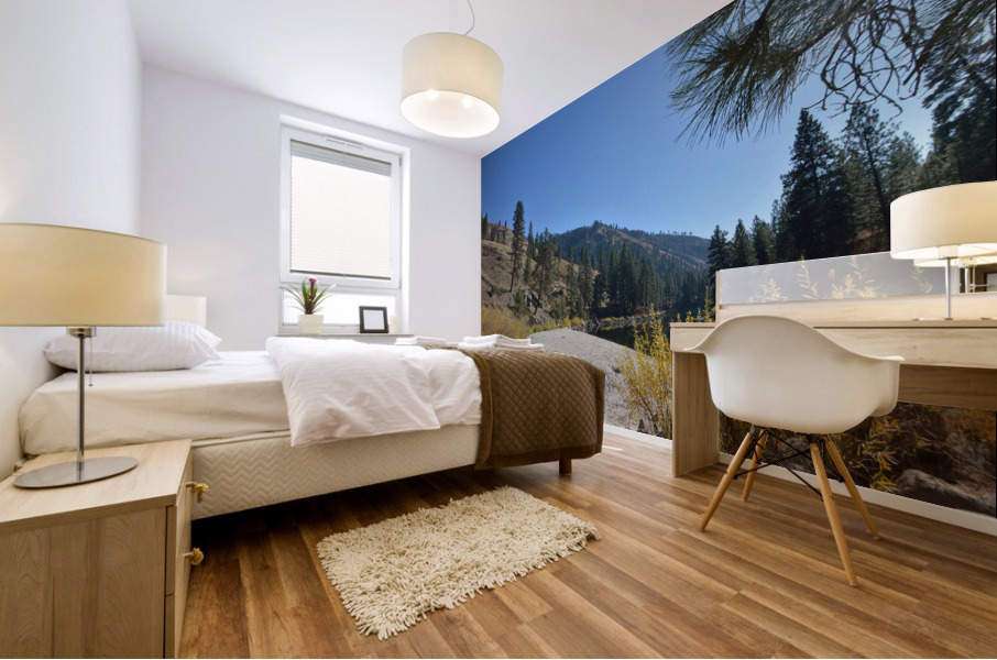Sandy Banks Beach Payette River Idaho Mural print
