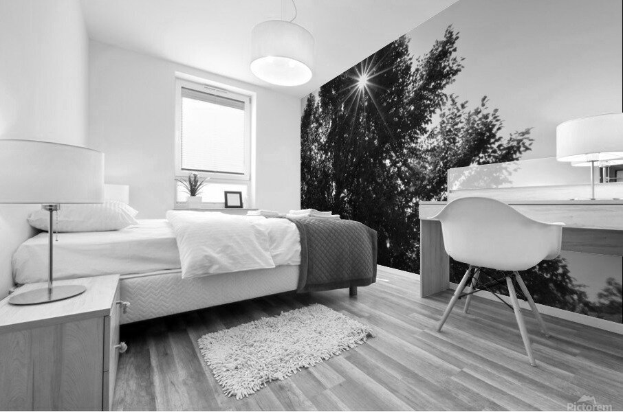 Starburst Tree Mural print