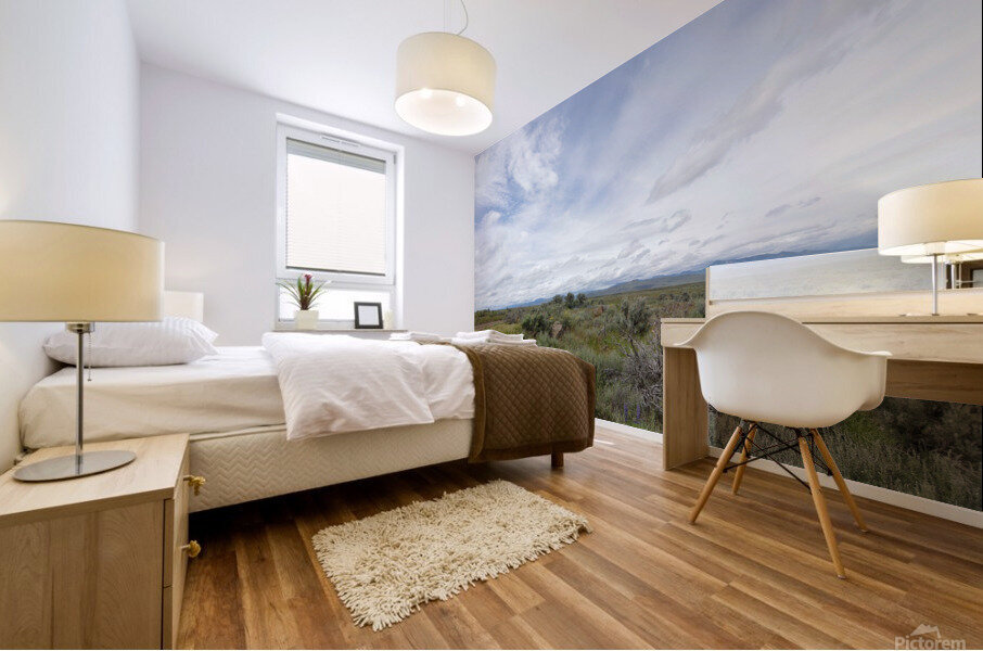 Black Magic Canyon Mural print