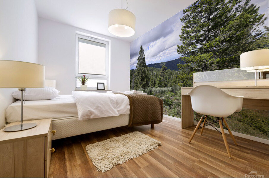 Boise National Forest 1 Mural print