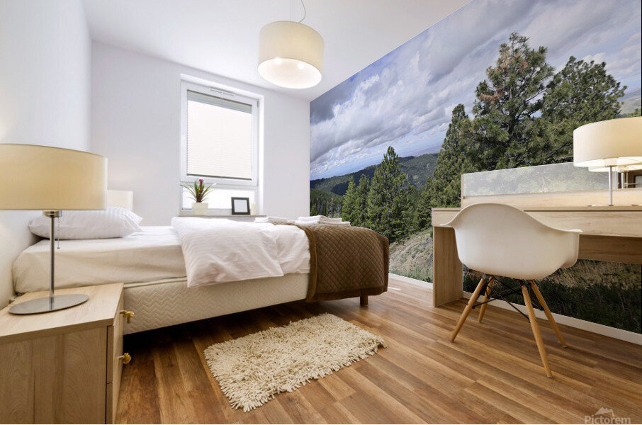 Boise National Forest 2 Mural print