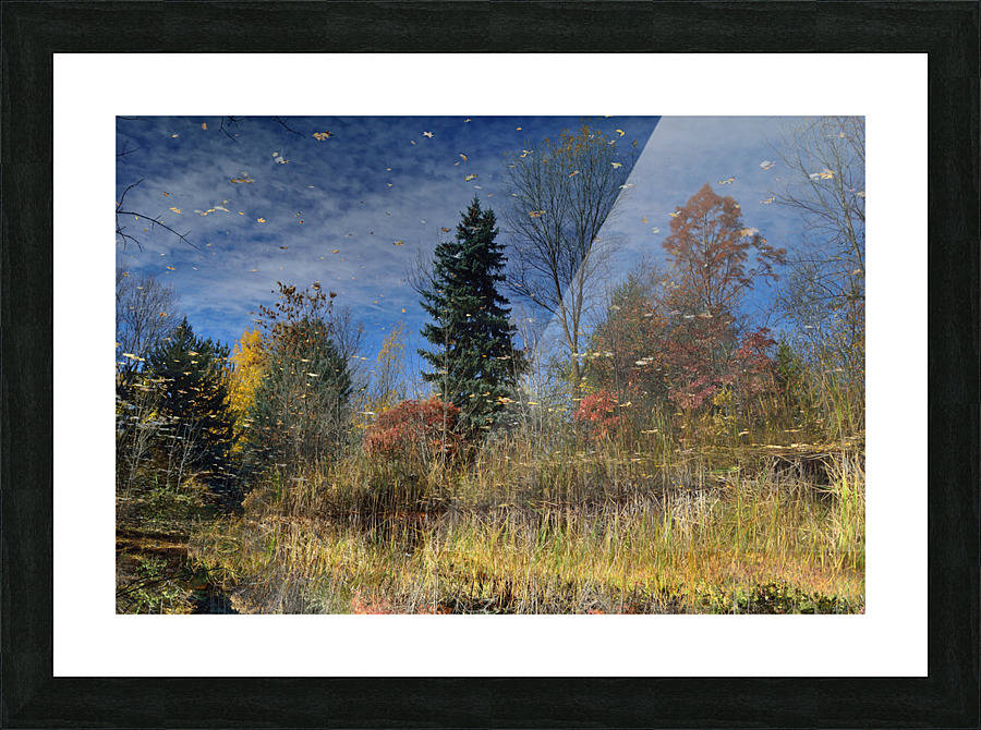 Magical Fall Colors Picture Frame print