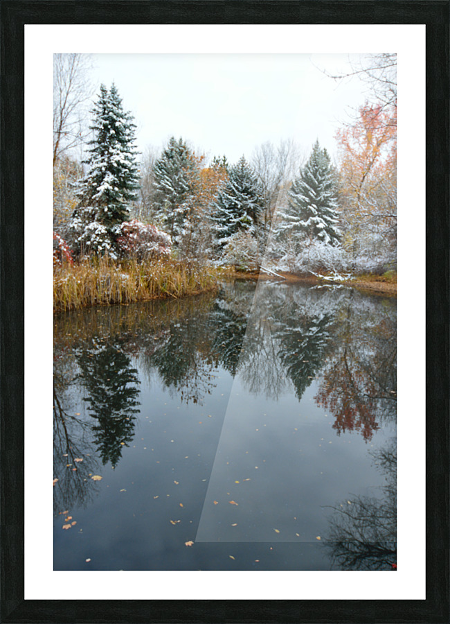 Fresh Snow and Pond Reflections Picture Frame print