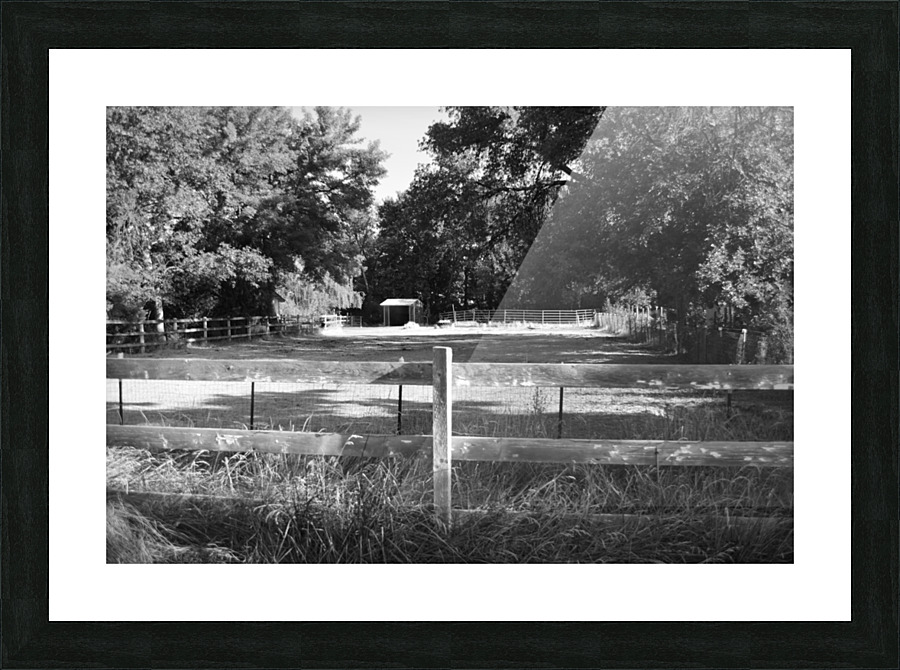 Shady Pasture Picture Frame print