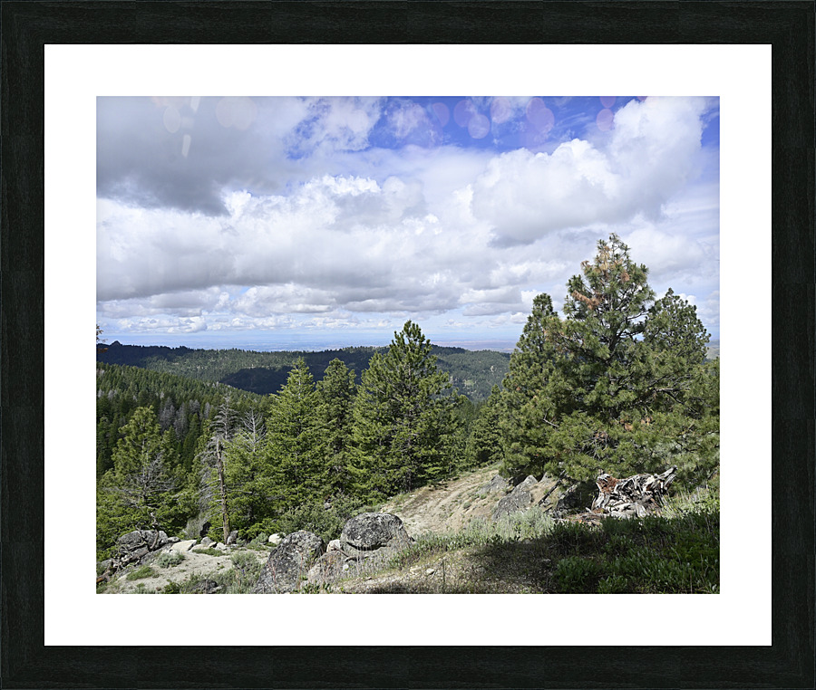 Boise National Forest 2 Picture Frame print