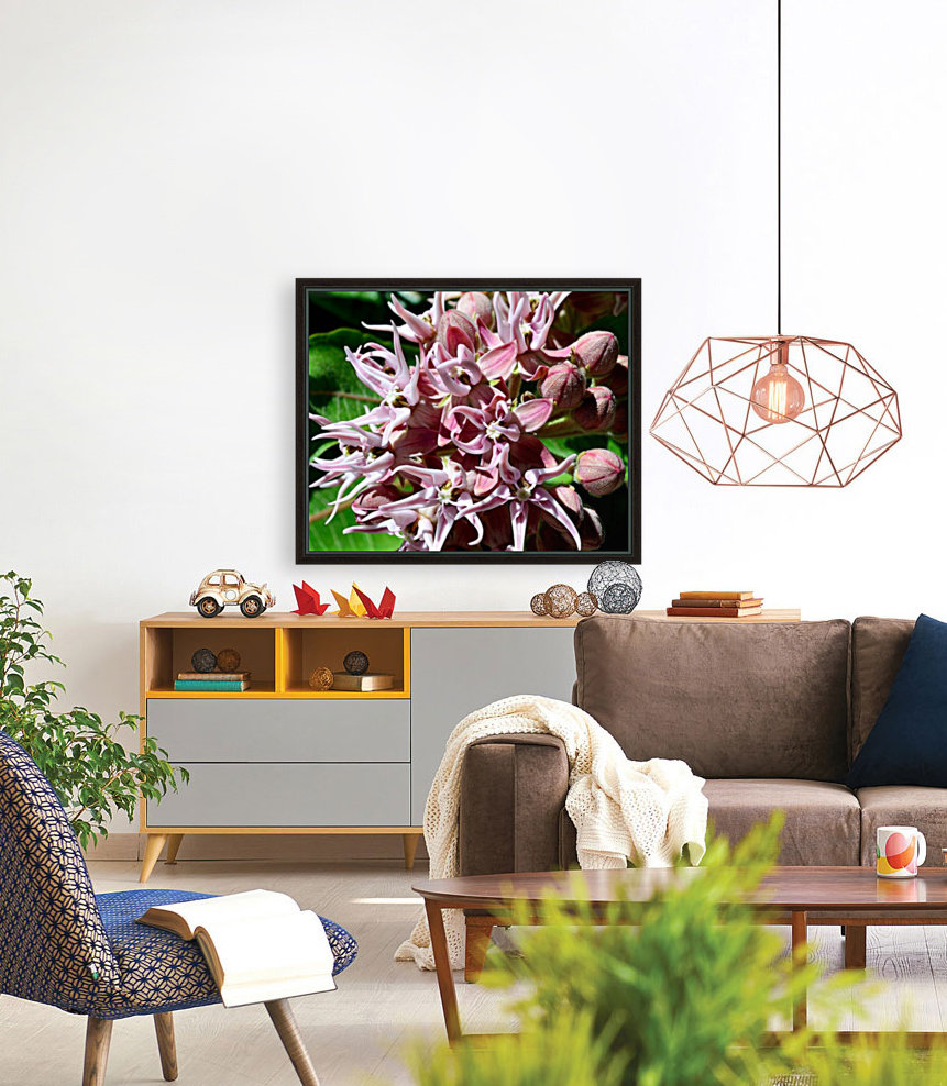 Milkweed Reproduction