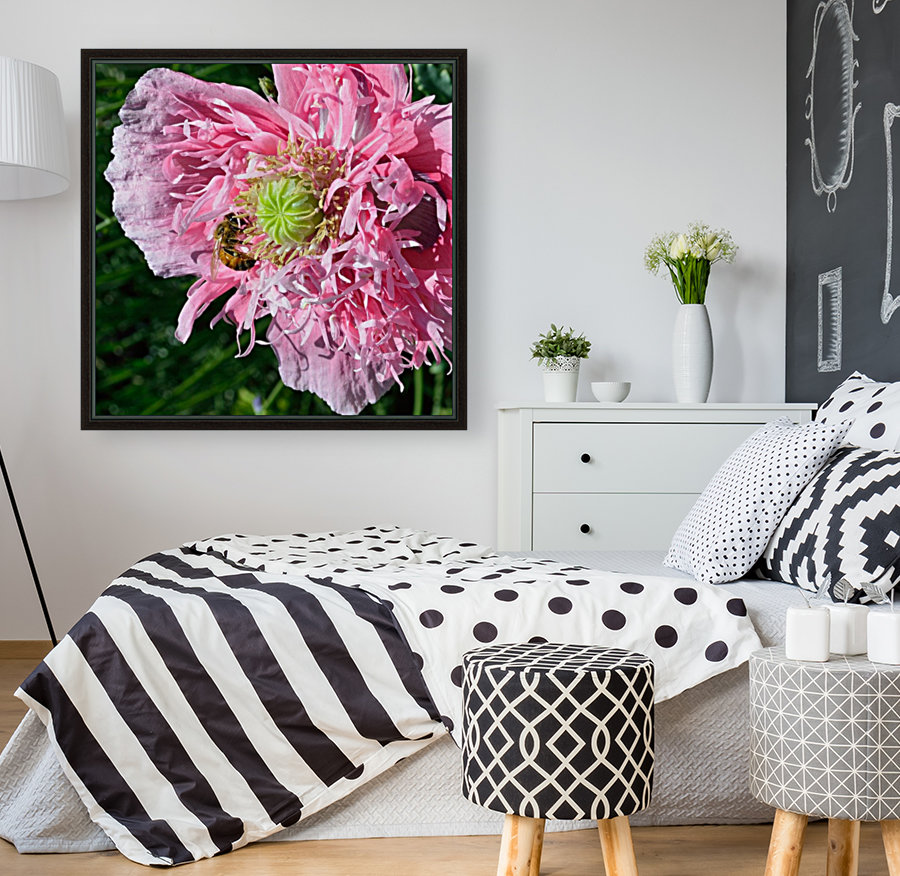 Poppy Peony with Bee Reproduction