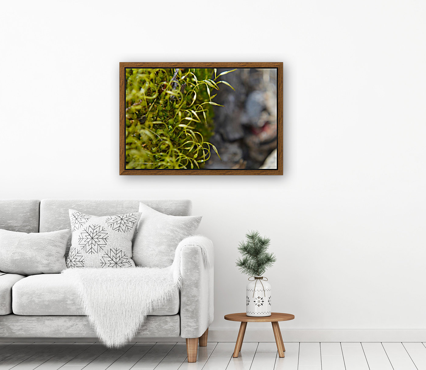 Green Moss Reproduction