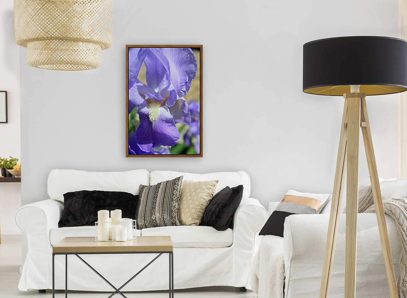 Light Purple Bearded Iris Reproduction