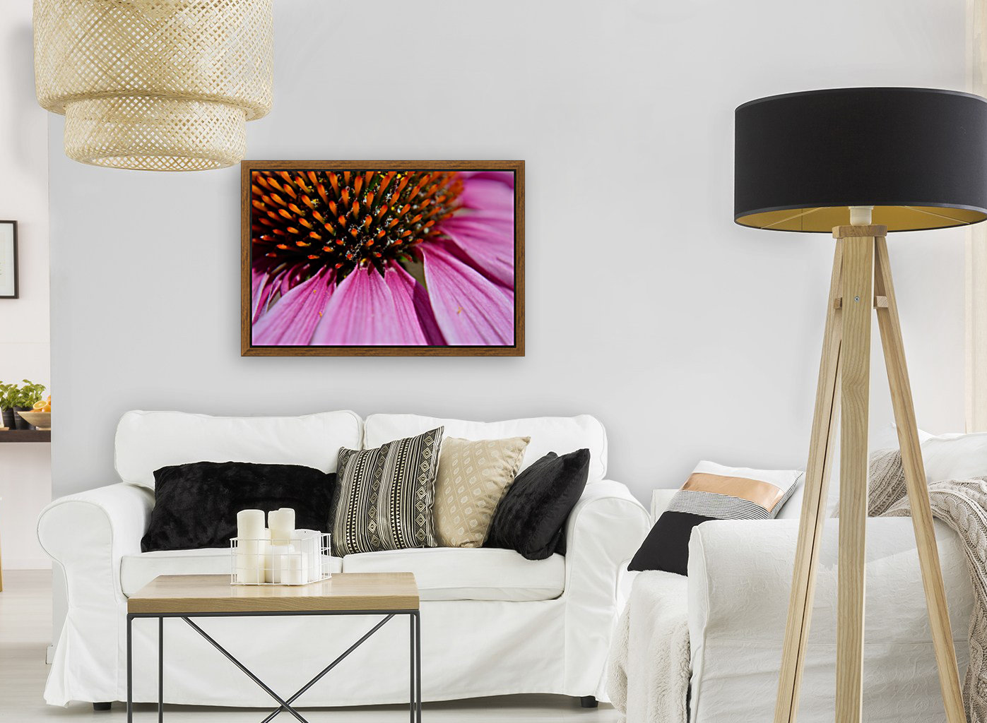 Purple Coneflower Reproduction