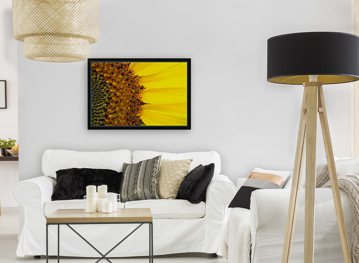 Sunflower American Giant variety macro Reproduction
