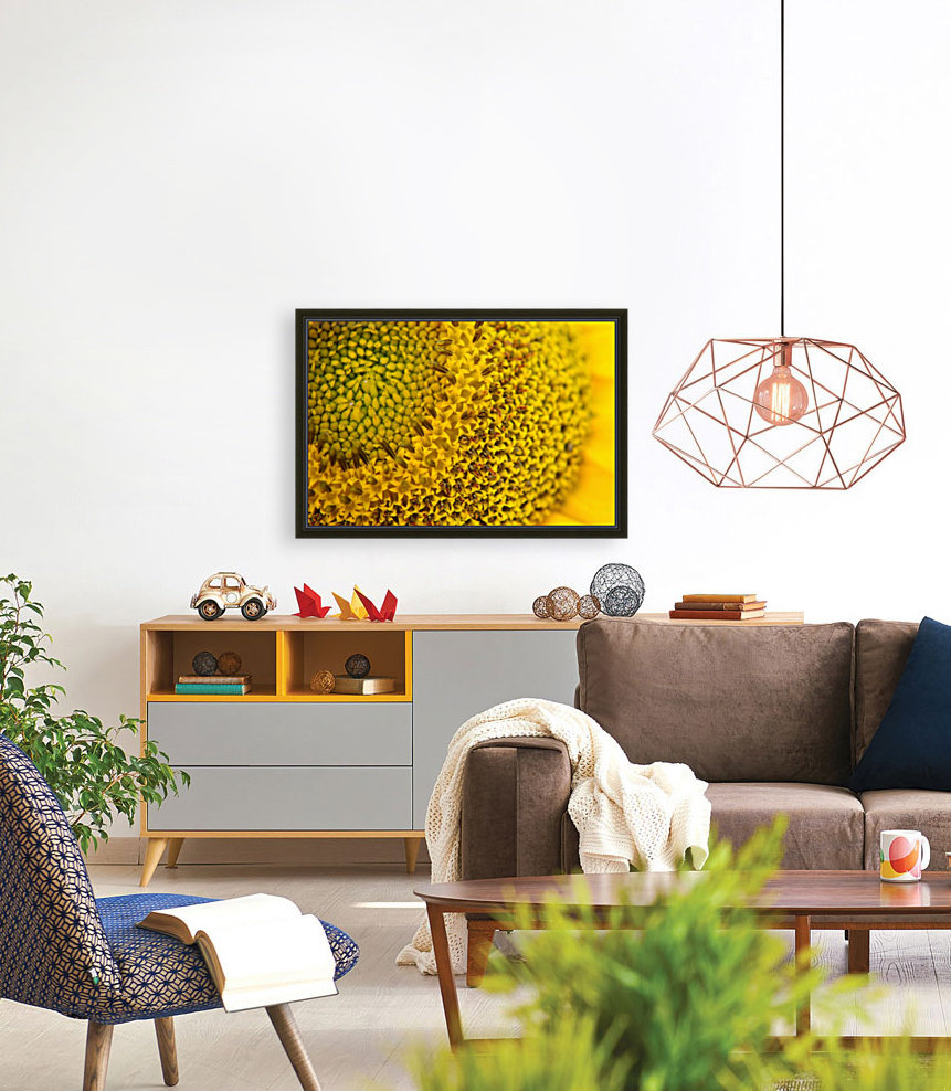 Sunflower Skyscraper Variety Reproduction