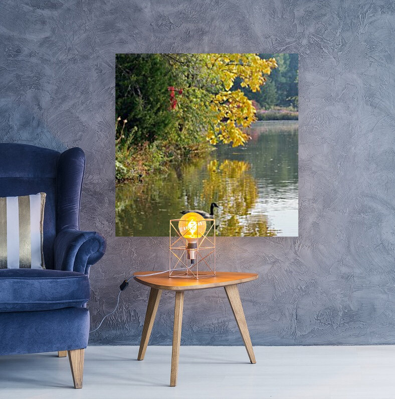 Canadian Goose Autumn Pond Reflections Reproduction