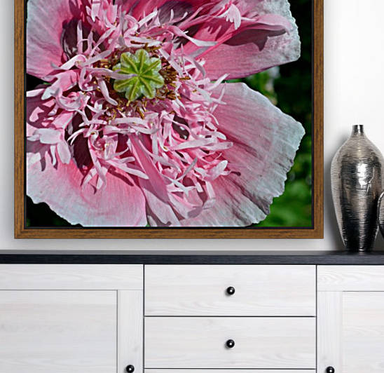Poppy Peony by Michelle K Wood