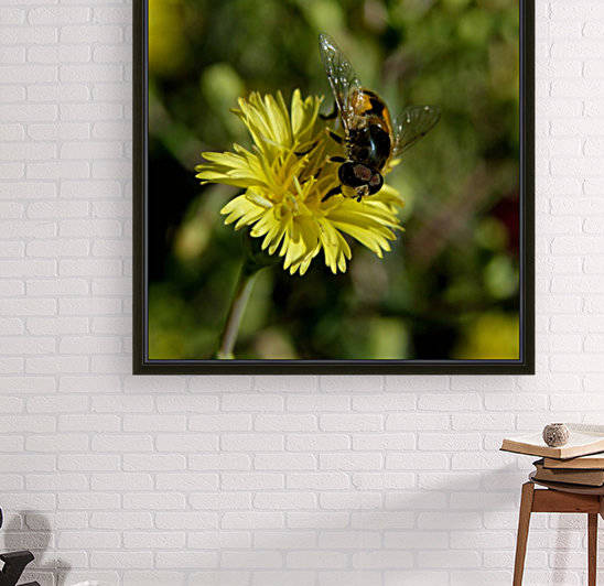 Curly Lettuce Yellow Flower with Bee by Michelle K Wood