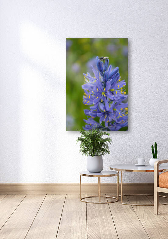 Blue Camas Lily with Bee by Michelle K Wood