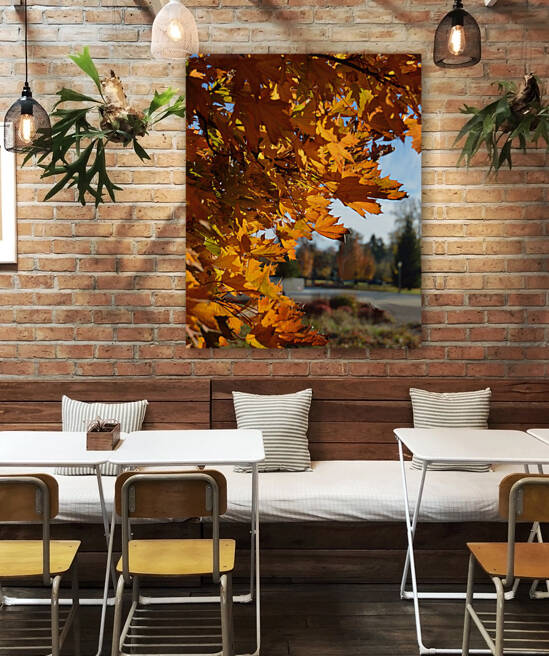 Sun Shining Through Autumn Leaves by Michelle K Wood
