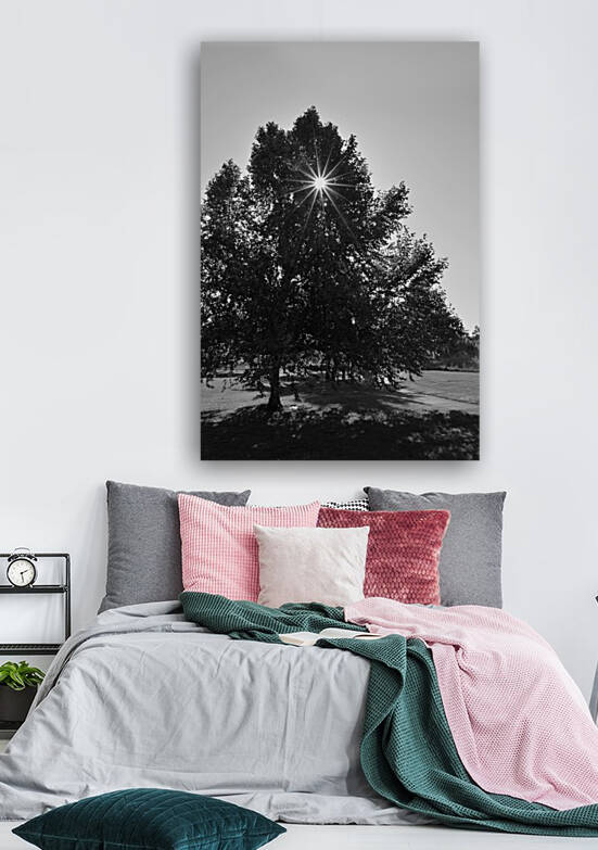 Starburst Tree by Michelle K Wood