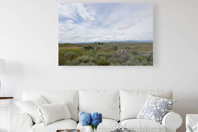 Black Magic Canyon by Michelle K Wood