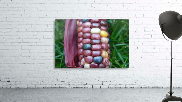 Jewel Corn 2 Wall Preview